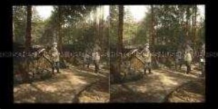 Unterstände und Anlagen im Wald