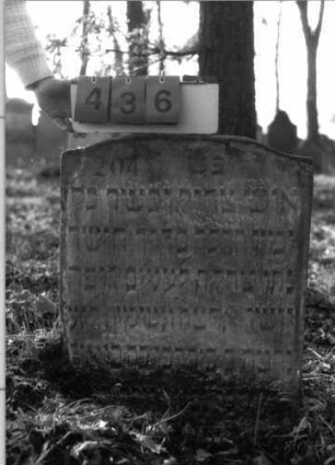 Grabstein 436 (Index: 100115609) Material: Sandstein Zustand: verwittert und im Boden eingesunken mit Textverlust Maße HxBxT: 68x59x9 cm Beschreibung: Stele mit leicht eingezogenem Segmentbogenabschluß: Grabstein 436