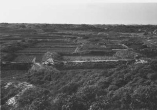 Landschaft bei Amsterdam : Blick auf eine Wiesen- und Weidelandschaft mit Feldern bei Amsterdam