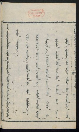 Cifun gaijarangge