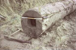Moorweg: bei Durchlass Alte Alster: Fundstück Rohrleitung aus Holz, nach Bergung: Teilansicht, vorne Querschnitt, daran Zollstock zum Größenvergleich