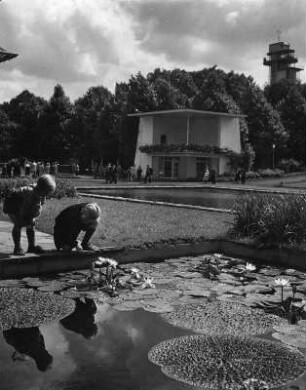 Essen. 2. Große Ruhrländische Gartenbau-Ausstellung, Grugapark, Mai bis Oktober 1952. Seerosenteich mit Blick auf einen Pavillon