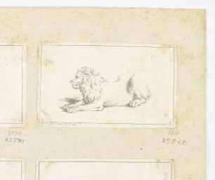 Liegender Löwe, nach links, Blatt 4 der Folge "Receuil de lions"