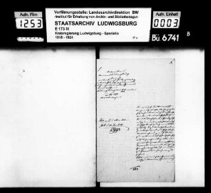 Berlebeck. Adlerwarte. Gaukler (Schlangenadler)