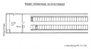 Modell: Kälbermast im Anbindestall