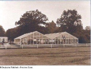 Gewächshaus : Großer Garten, Reichsgartenschau, Gewächshäus