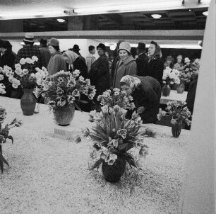Dresden. Gartenausstellung. Besucher vor einer Ausstellungsfläche mit Nelken und Tulpen in Vasen