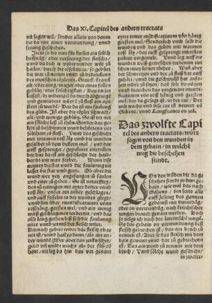 Das zwolfte Capitel des andern tractats/ würt sagen von den Wunden in dem gebain/ ...
