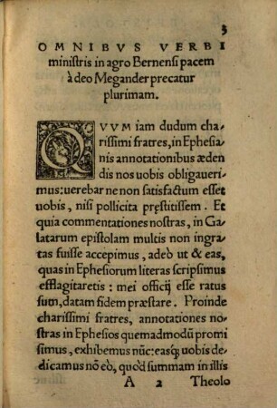 In Epistolam Pauli ad Ephesios commentarius : Unacum Joh. Rhellicani epistola monitoria
