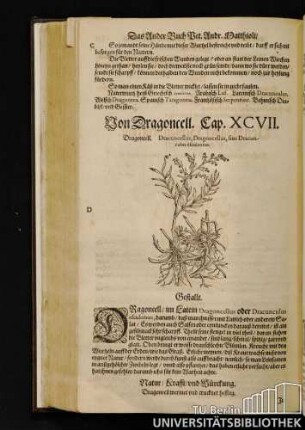 Cap. XCVII. Von Dragoncell.