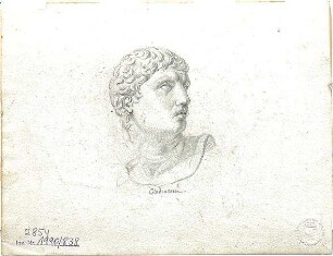 Gärtner, Friedrich von; Reisezeichnungen - Portrait (Studie)