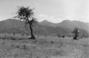 Anseba Graben : Blick auf den Anseba Graben nördlich von Keren.