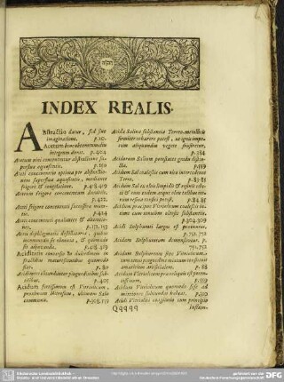 Index Realis