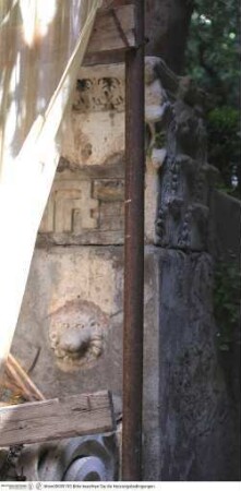 Löwenkopf