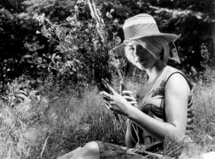 Sommer. Das Model Frl. Haalck posiert auf einer Sommerwiese. In den Händen hält sie Gräser
