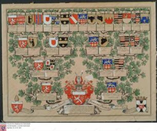 Ahnenprobe des Franz Amand Freiherr v. Dienheim
