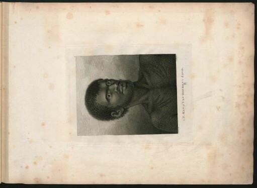 6. A Man of Van Diemen's Land.