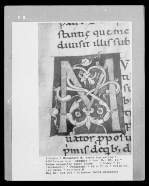 Bedae expositio super Lucam... — Initiale M, Folio 113 verso