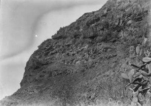 Felsen mit Höhlen : Blick über Kakteen auf einen Felsen. Am linken unteren Bildrand sind Eingänge zu Höhlen erkennbar