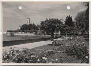 Langenargen, Schloß Montfort