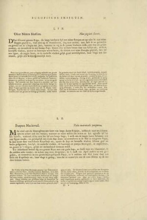 LIX. Oker Noten Blossem. - Nux jugularis florens