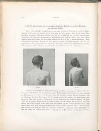 8. Die Nachprüfung der am bewegungsmechanischen Modell gewonnenen Resultate am lebenden Modell.