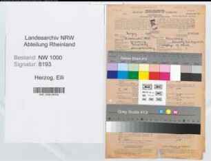 Entnazifizierung Elli Herzog, geb. 30.11.1919 (Bankangestellte)