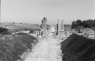 Straße in Leptis Magna : Blick auf eine Straße in der römischen Ruinenstadt Leptis Magna