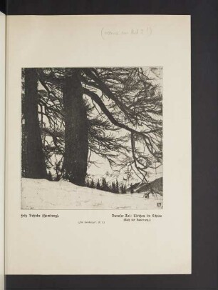 Davoser Tal: Lärchen im Schnee (Nach der Radierung.)