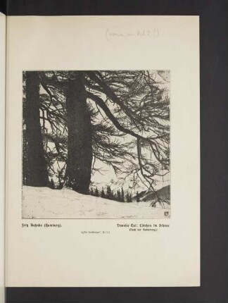 Davoser Tal: Lärchen im Schnee (Nach der Radierung.)