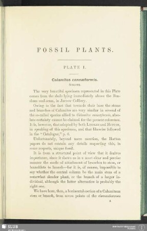 Fossil plants