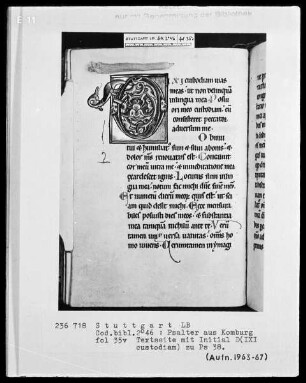 Psalter aus Comburg — Initiale D (ixi custodiam), Folio 35verso