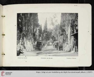 Friehof von Scutari. Cimetière de Scutari. Cemetery of Scutari