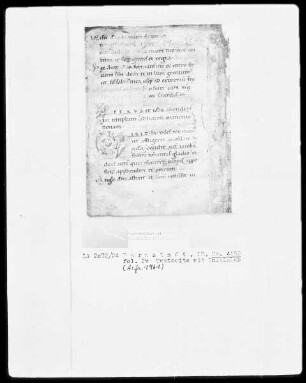 Fragment eines Liber Capitulorum — Initialen P(erus) und M(isit Herodes rex), Folio 2verso
