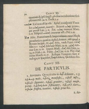 Caput XII. De Particulis.