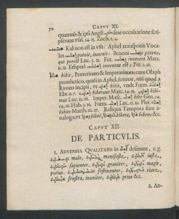 Caput XII. De Particulis.