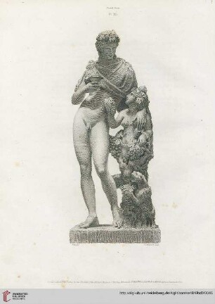 Plate XI