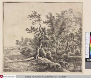 [Eine kurvige Straße, links ein See mit Schilf; The curved road]