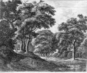 Laubwald mit Weiher und Reiter auf dem Weg (aus einer Folge Waldlandschaften, ohne Nummern)