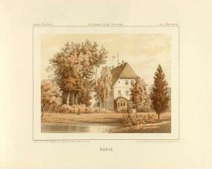 Radis