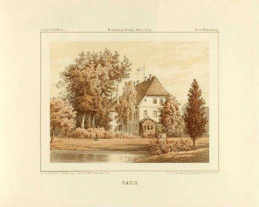 Radis