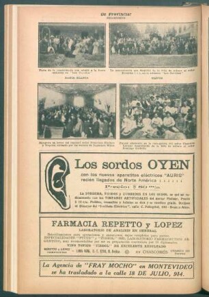 Olivos