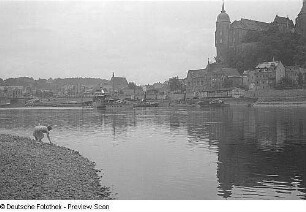 Ansichten von Meißen : Stadtansicht mit Albrechtsburg vom rechten Elbufer