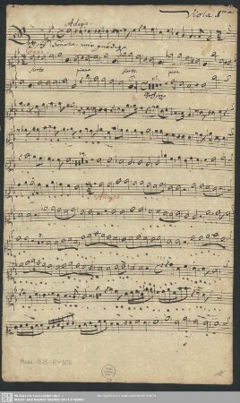 Viola prima.