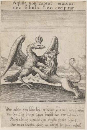 Aquila non captat muscas nec subula Leo excipitur