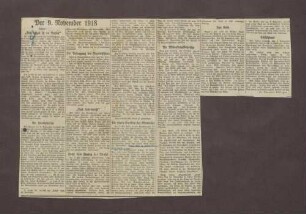 Zeitungsartikel: "Der 9. November 1918" von Theodor Böttiger