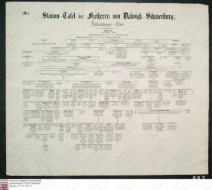 Stammtafel der Freiherrn von Dalwigk-Schauenburg, Schauenburger Linie, 1167-1860