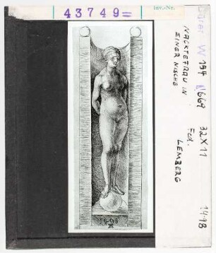 Albrecht Dürer: Nackte Frau in einer Nische. Feder, 1498. Lemberg