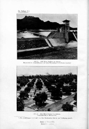 Zu Anlage I. Abb. 2. "Salt River Projekt" in Arizona. Orangenpflanzung im Salt River-Tal.