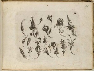 Siebzehn Blüten, Blatt aus dem "Neuw Grotteßken Buch"